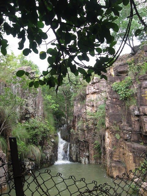 Nice Scenic view with cool climate and sound of forest