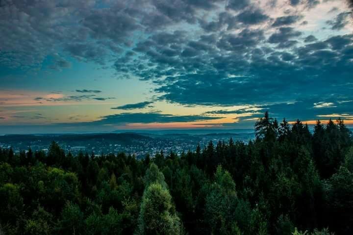 Eschenbergturm Winterthur