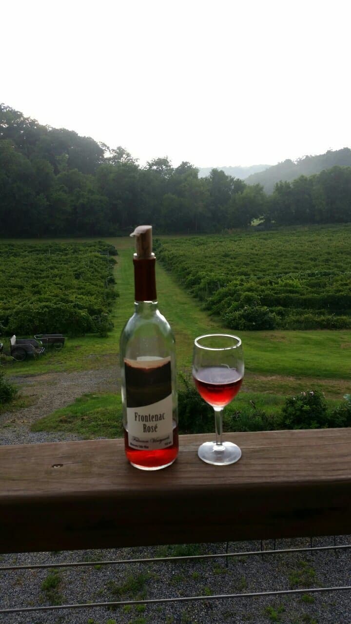 Relax & Enjoy