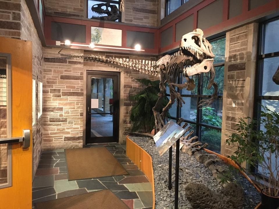 Cryolophosaurus
