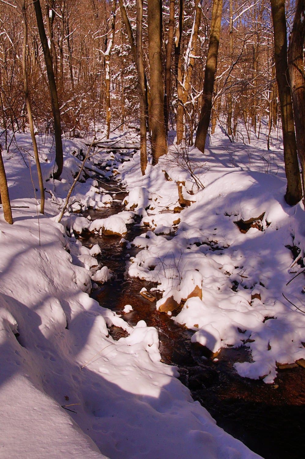 Blue Knob State Park in Winter