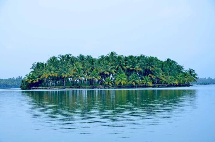 You can either opt for a ferry from the mainland or cross through the Mavila Kadappuram bridge, 