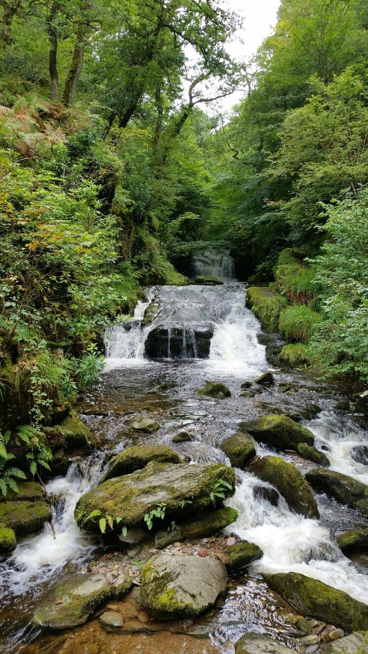Watersmeet Exmoor