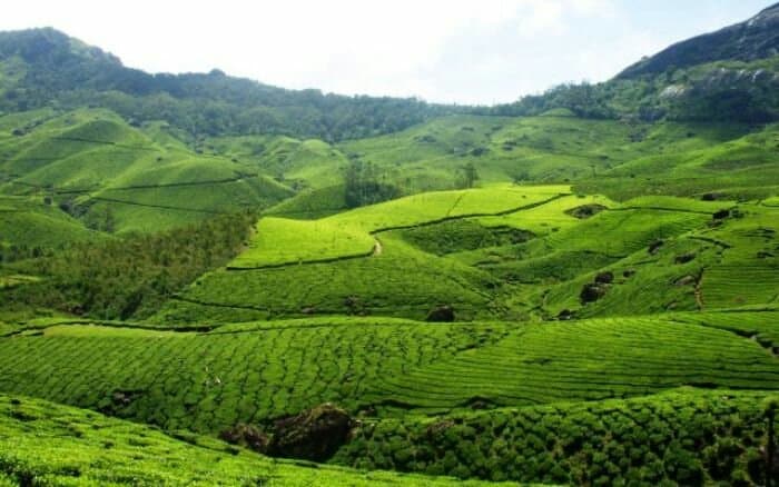 Munnar Top Station Scenic Drive