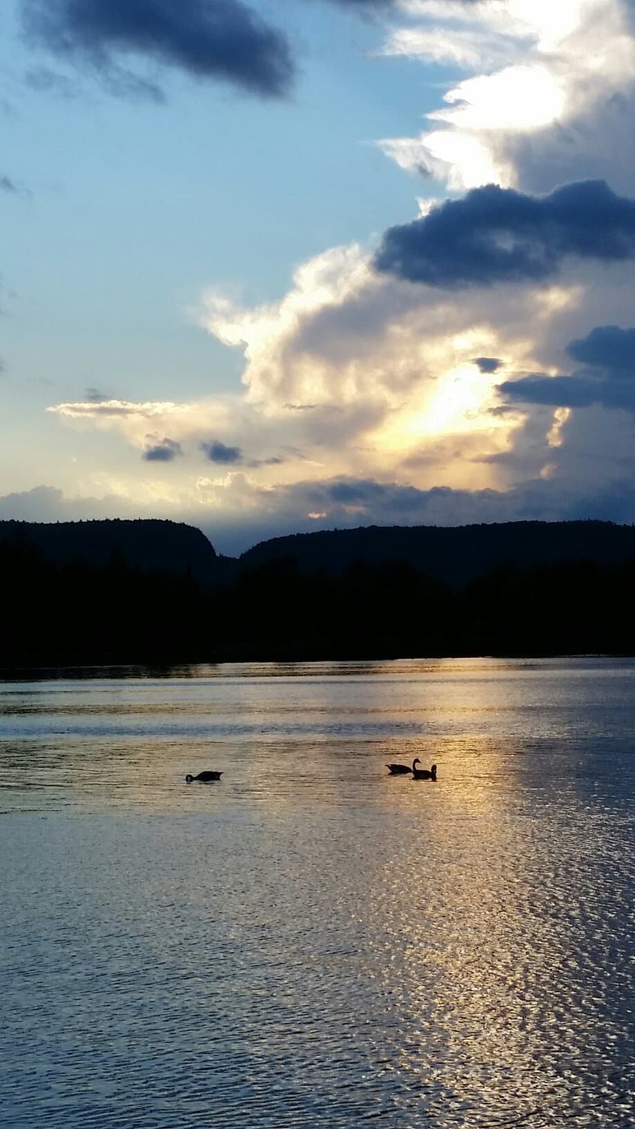 Chippewa Park