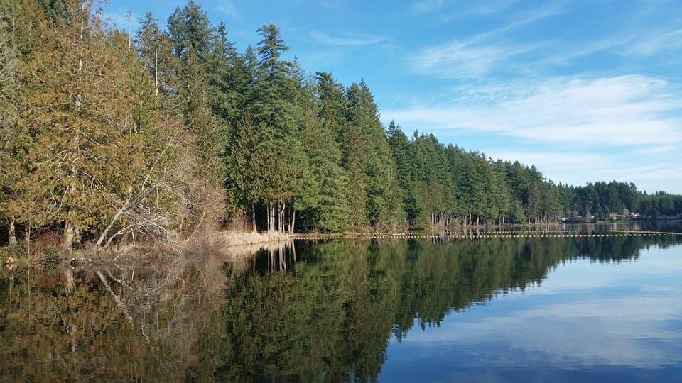 Enjoying late winter reflection at Millersylvania State Park