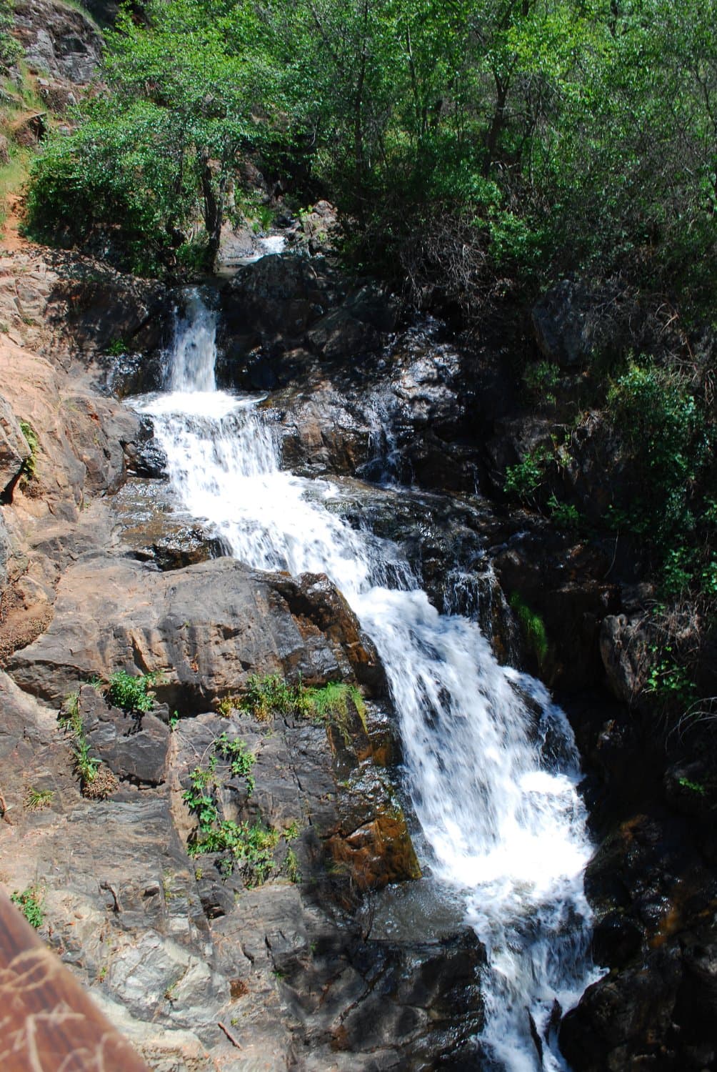 The Falls