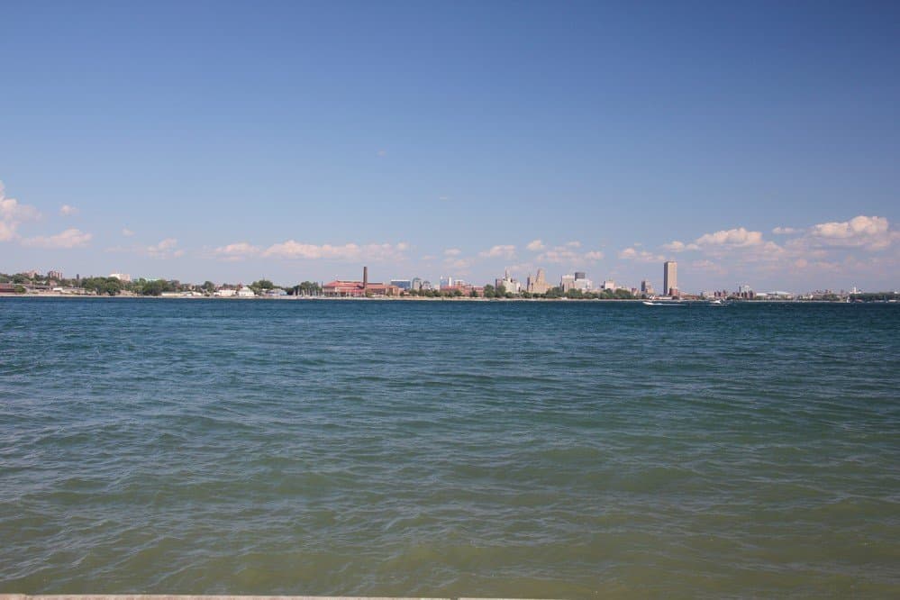 View on Buffalo