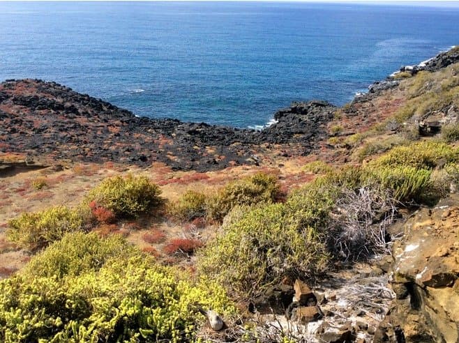 Punta Pitt
