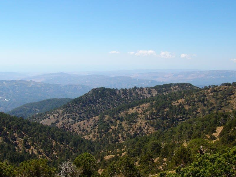 paysage