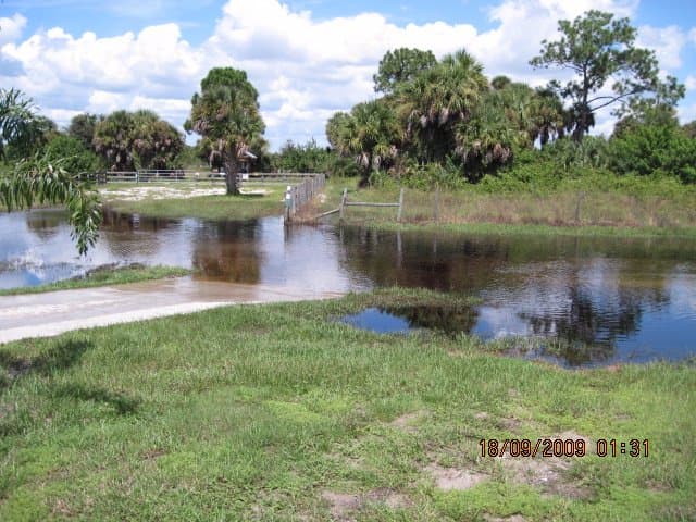 from residential driveway across the street