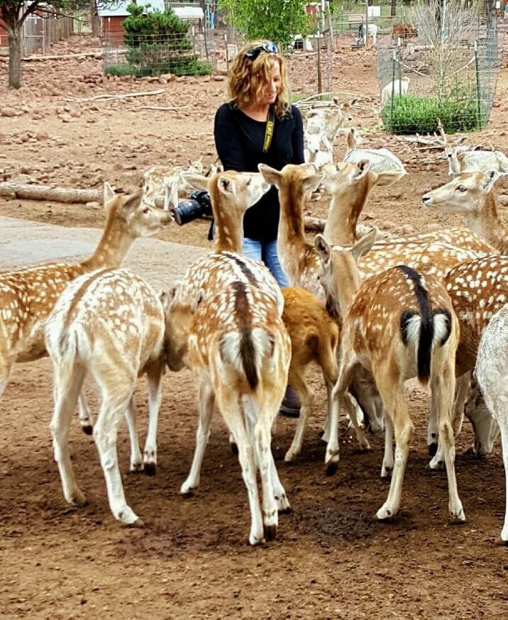 Wish I could feed them every day!