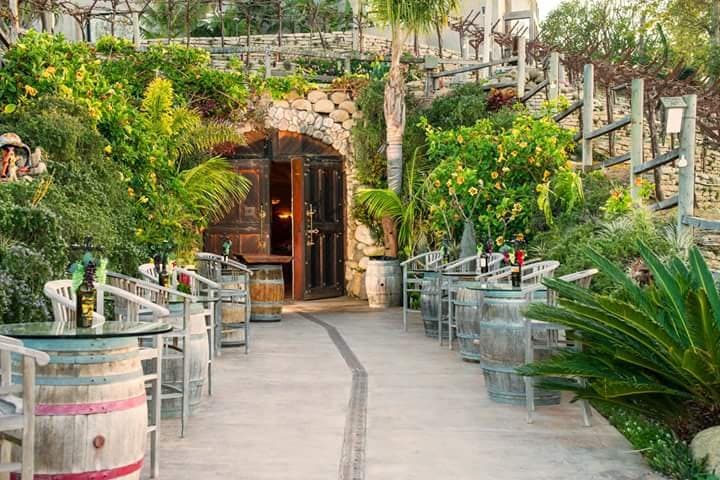 Newport Beach Vineyards & Winery