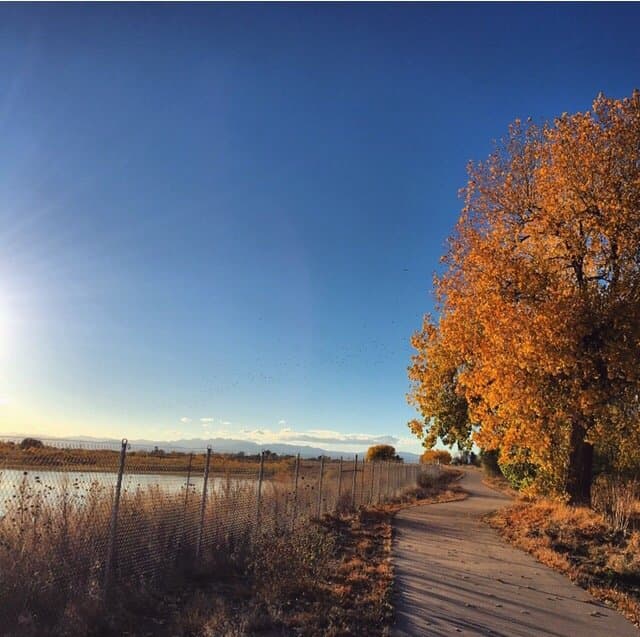 Poudre River Trail