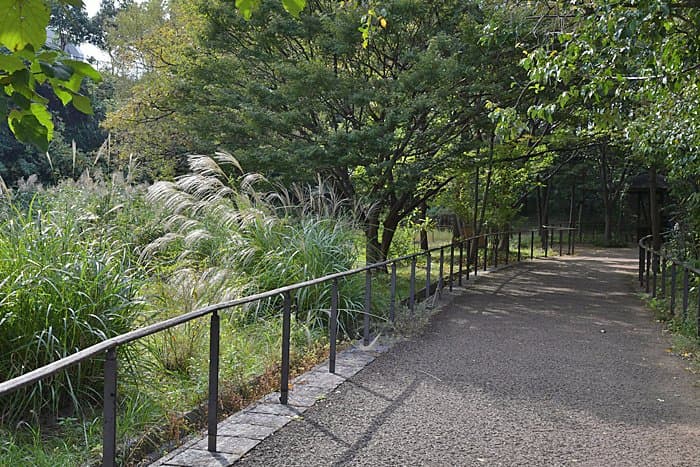 自然の中を散歩できます