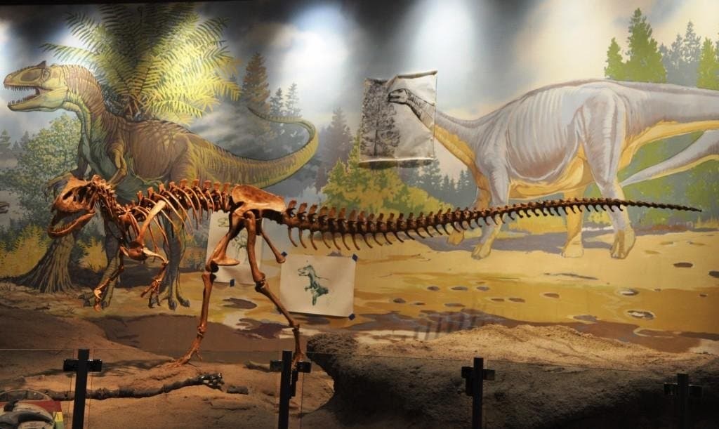 Utah Field House Museum Vernal
