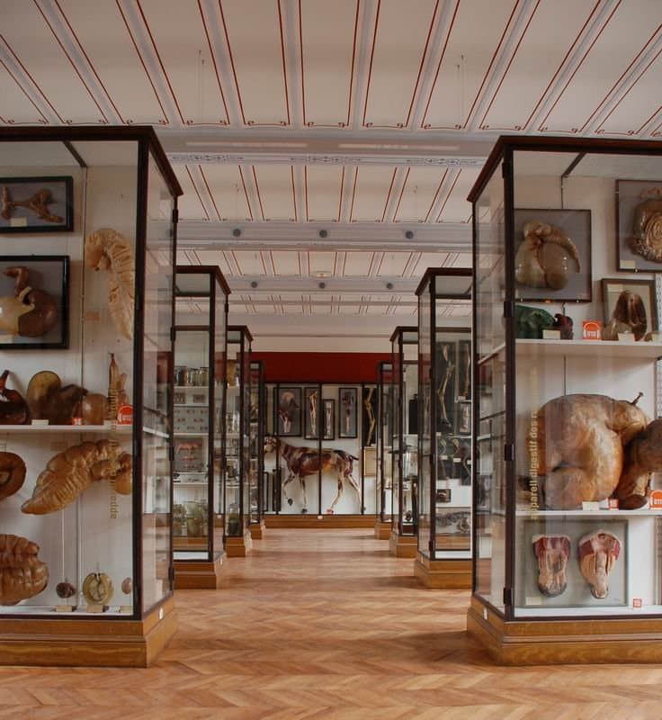 musée Fragonard