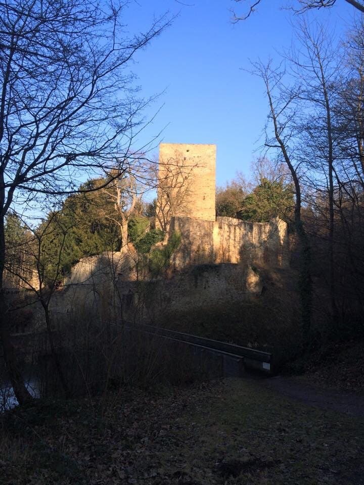 Hardtburg Castle Ruin