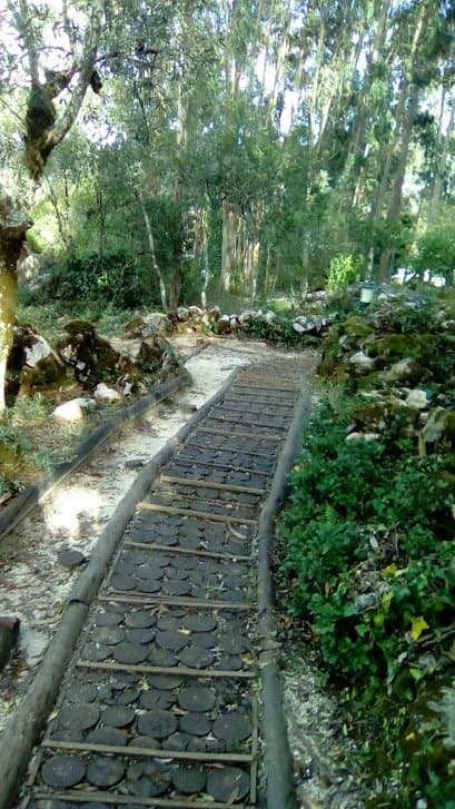 Ecopark Cela