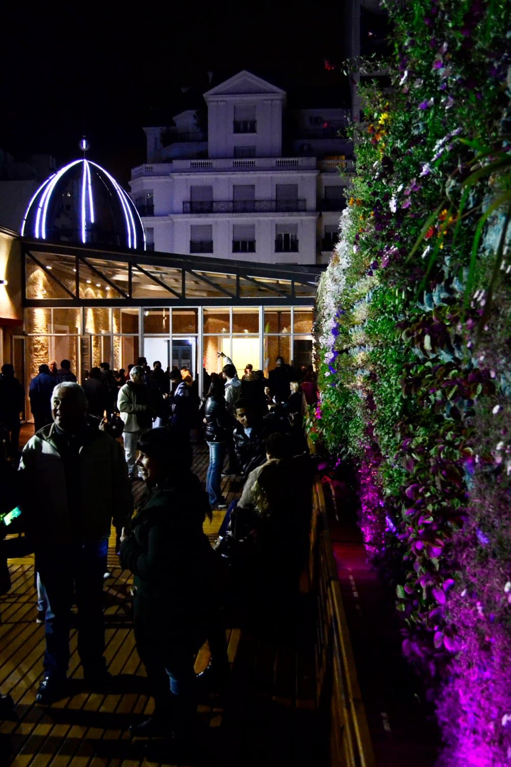 Terraza