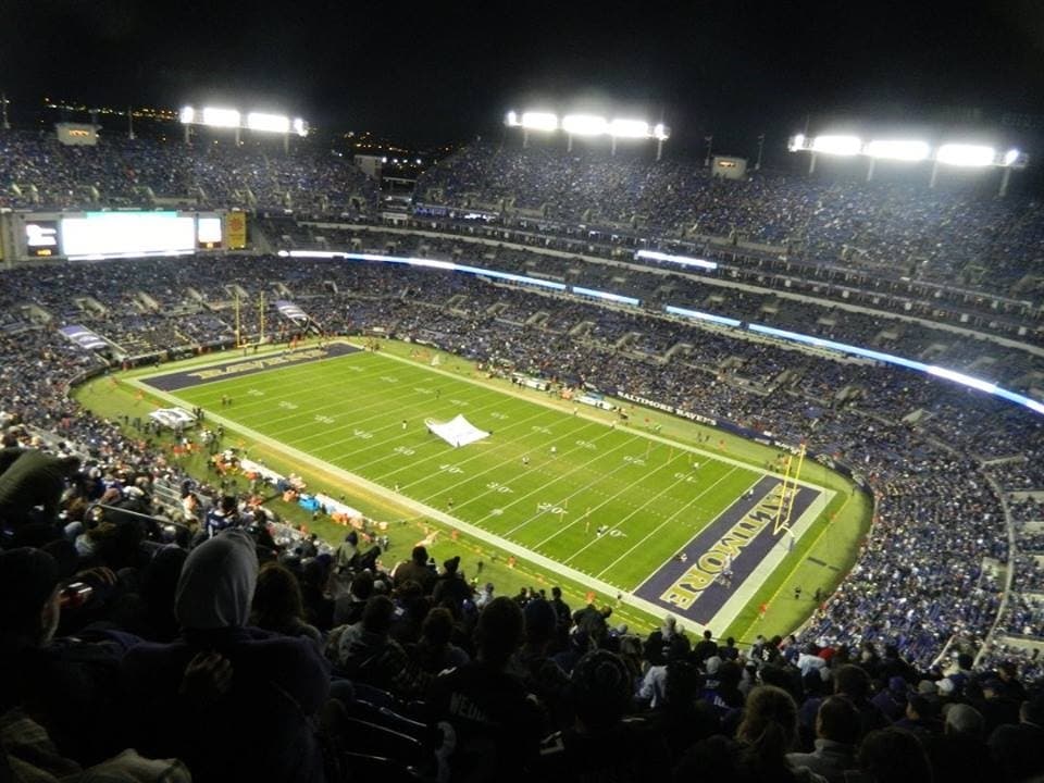 View from seats