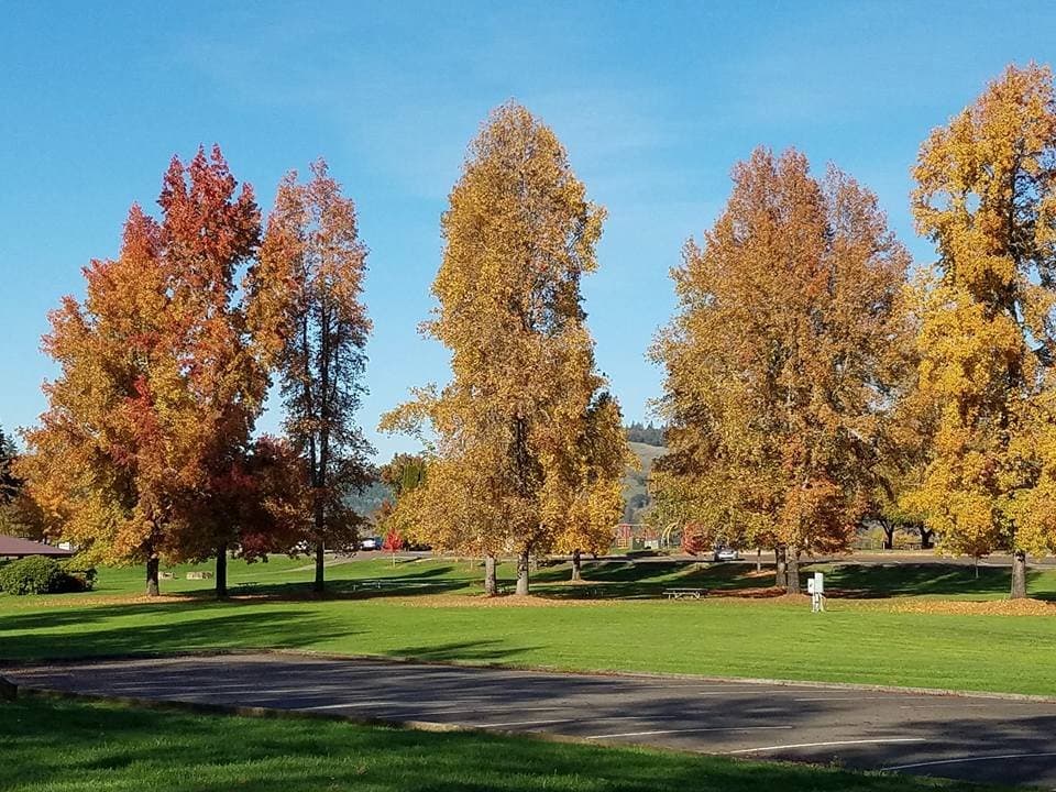 The park in Fall