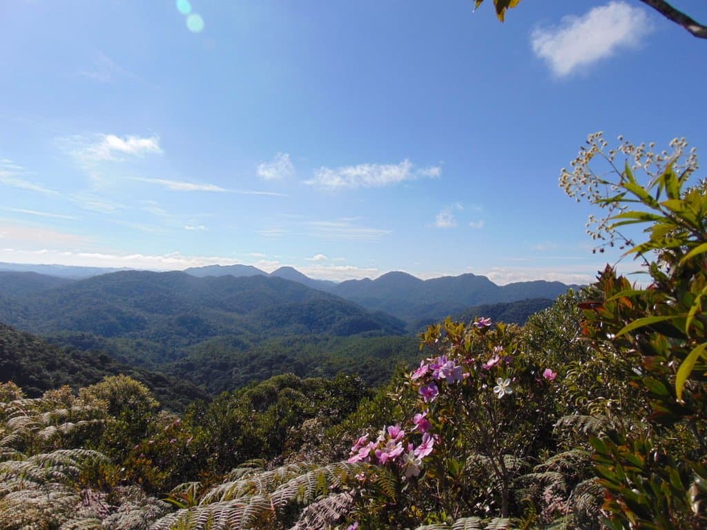 Mirante da Anta