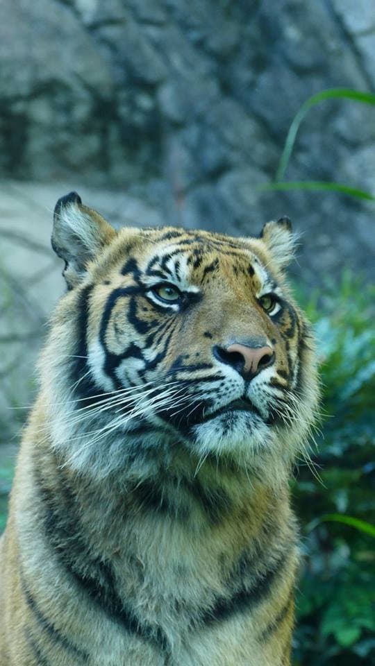 Bioparco