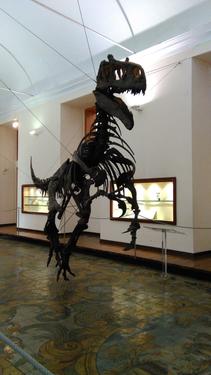 Museo di Paleontologia di Napoli