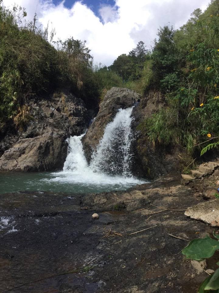 The falls