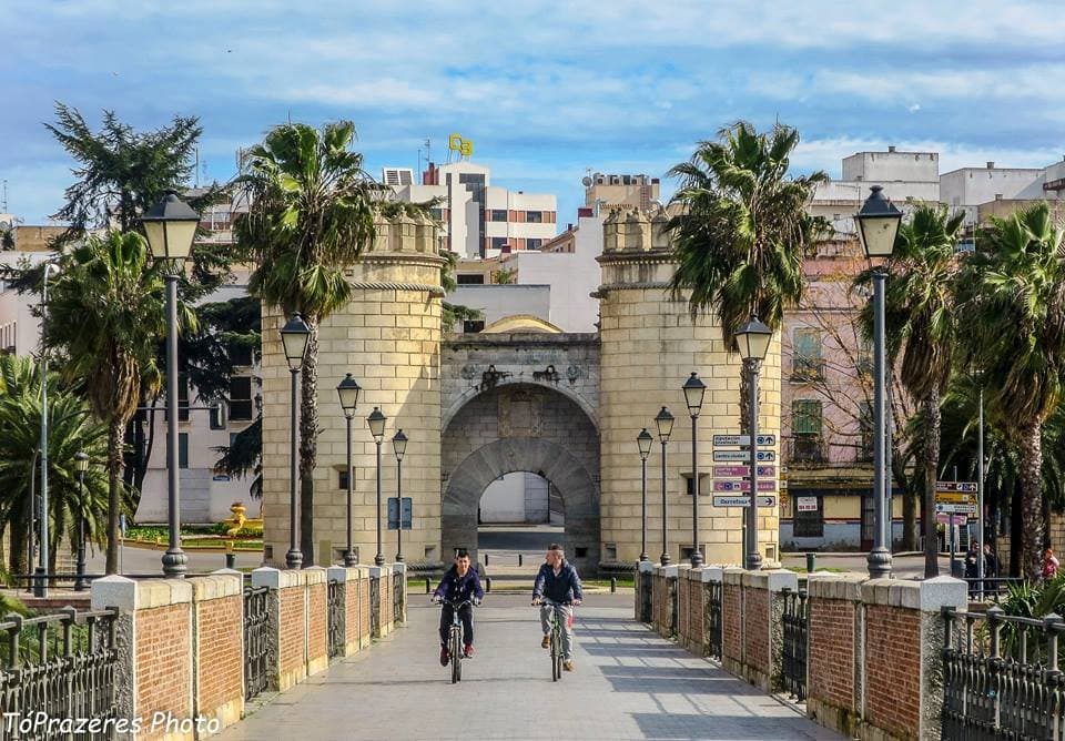 Puerta de Palmas