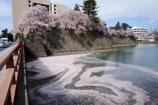 Kitanosho Castle Ruins