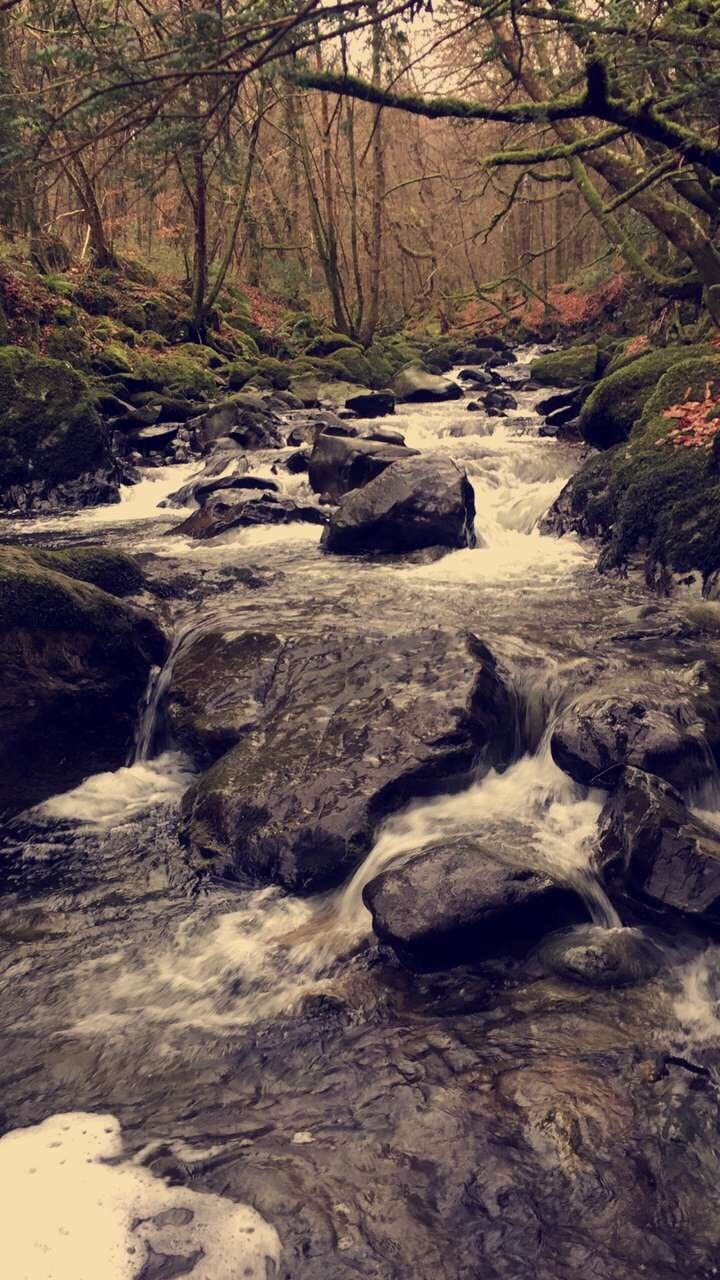 Most beautiful walk along the fast flowing river! Great for those as adventurous as us who tried