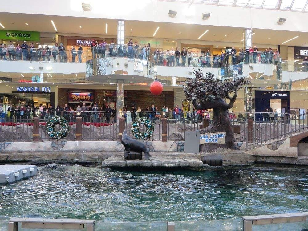 Marine Life West Edmonton Mall