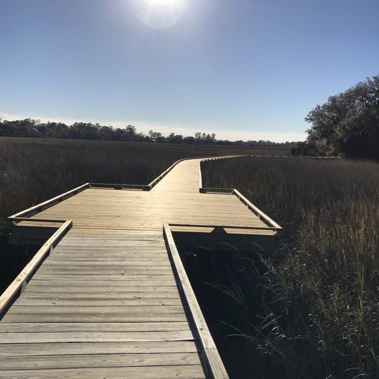 Marsh at Oatland Island Wildlife Center