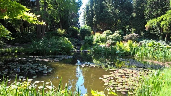 Horticultural Society Gardens Haveselskabets Have