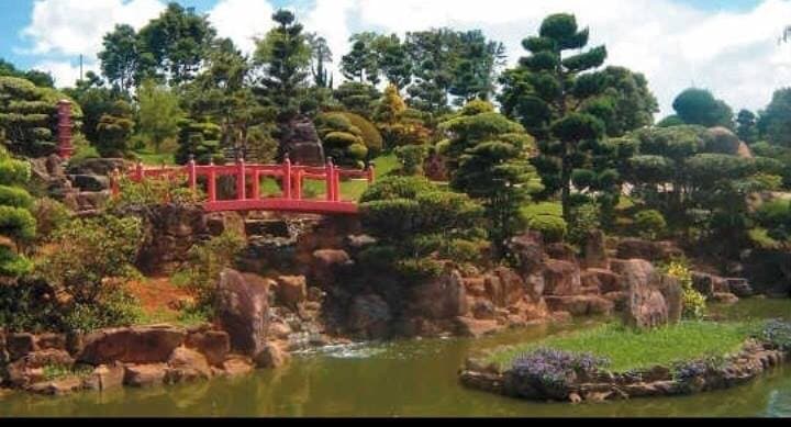 Lugar aonde o verde é a melhor das diversões.