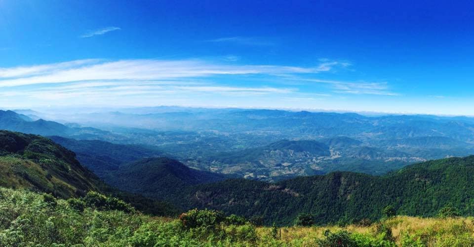 ด้านบนยอดกิ่วแม่ปาน