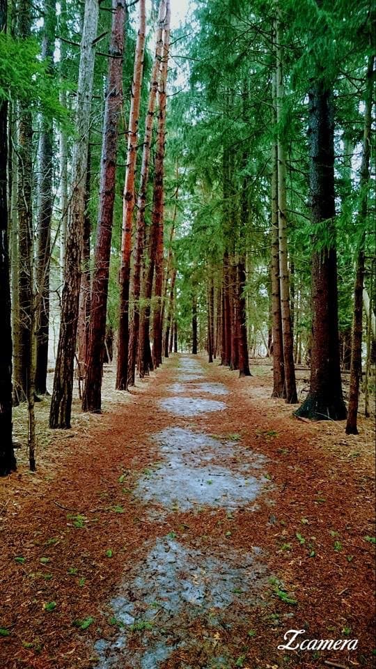 Rouge park,Pickering,On