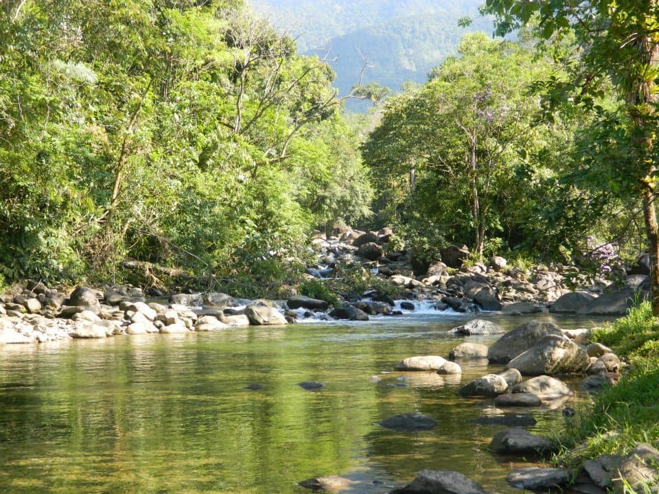 Juréia