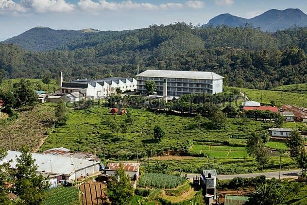 Pedro Tea Estate Nuwara Eliya Sri Lanka
