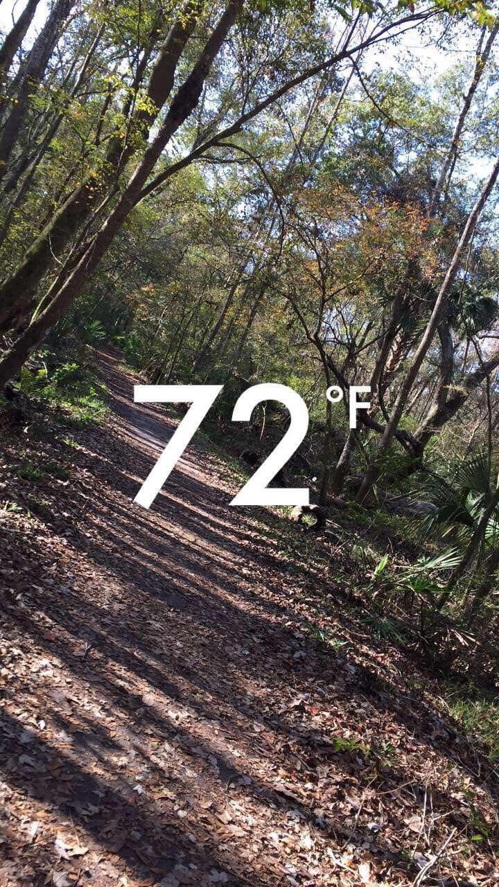 University of North Florida Nature Trails