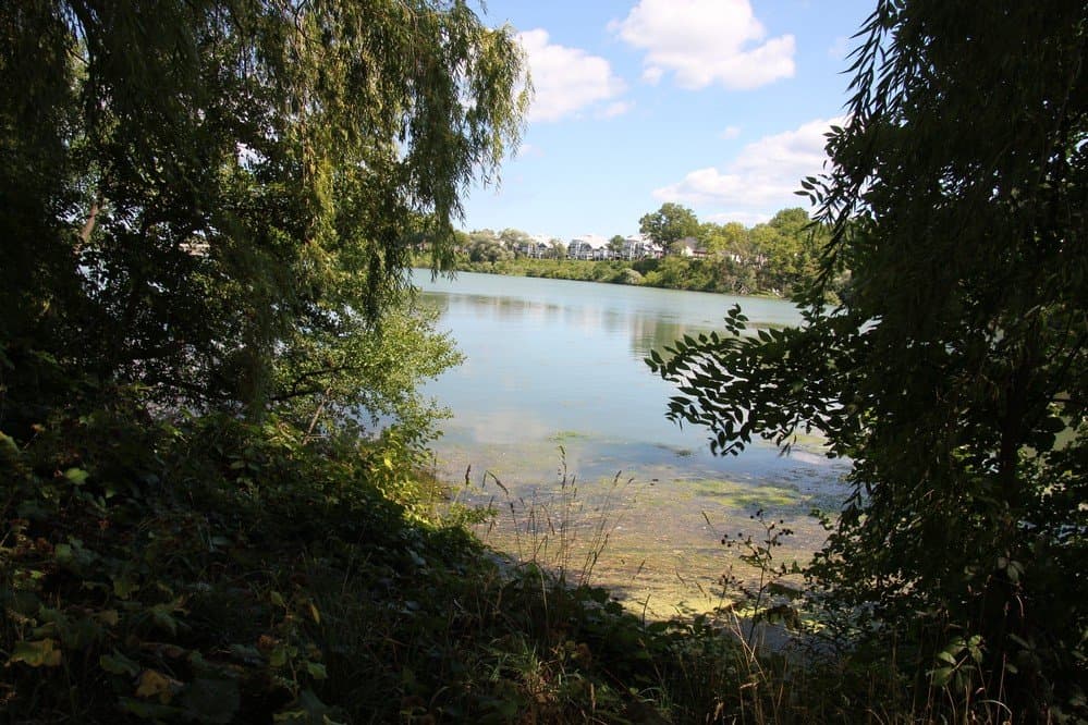 View on the water