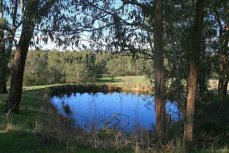 Tikalara Park