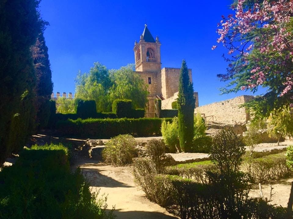 Desde jardin