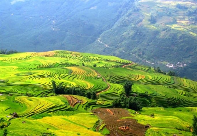 LAO CHẢI VILLAGE IN SAPA