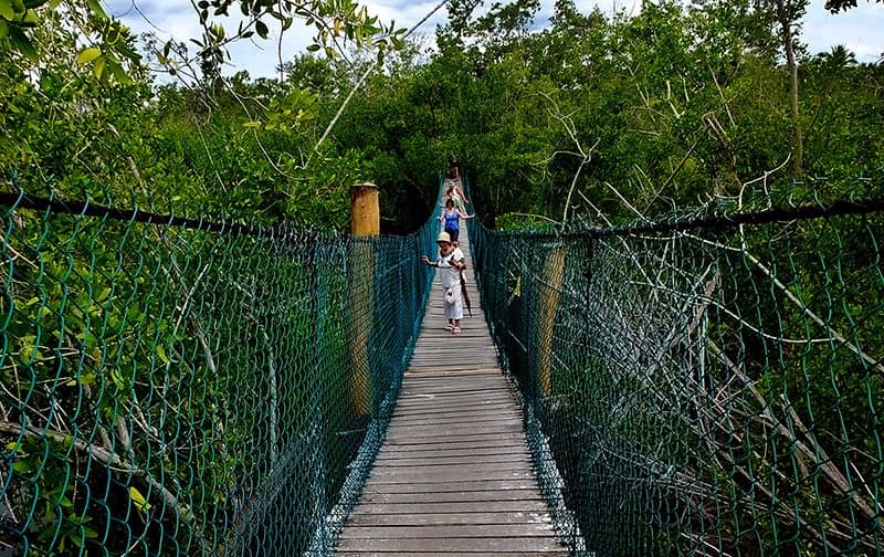 Swinging bridge will get your adrenaline flowing!
