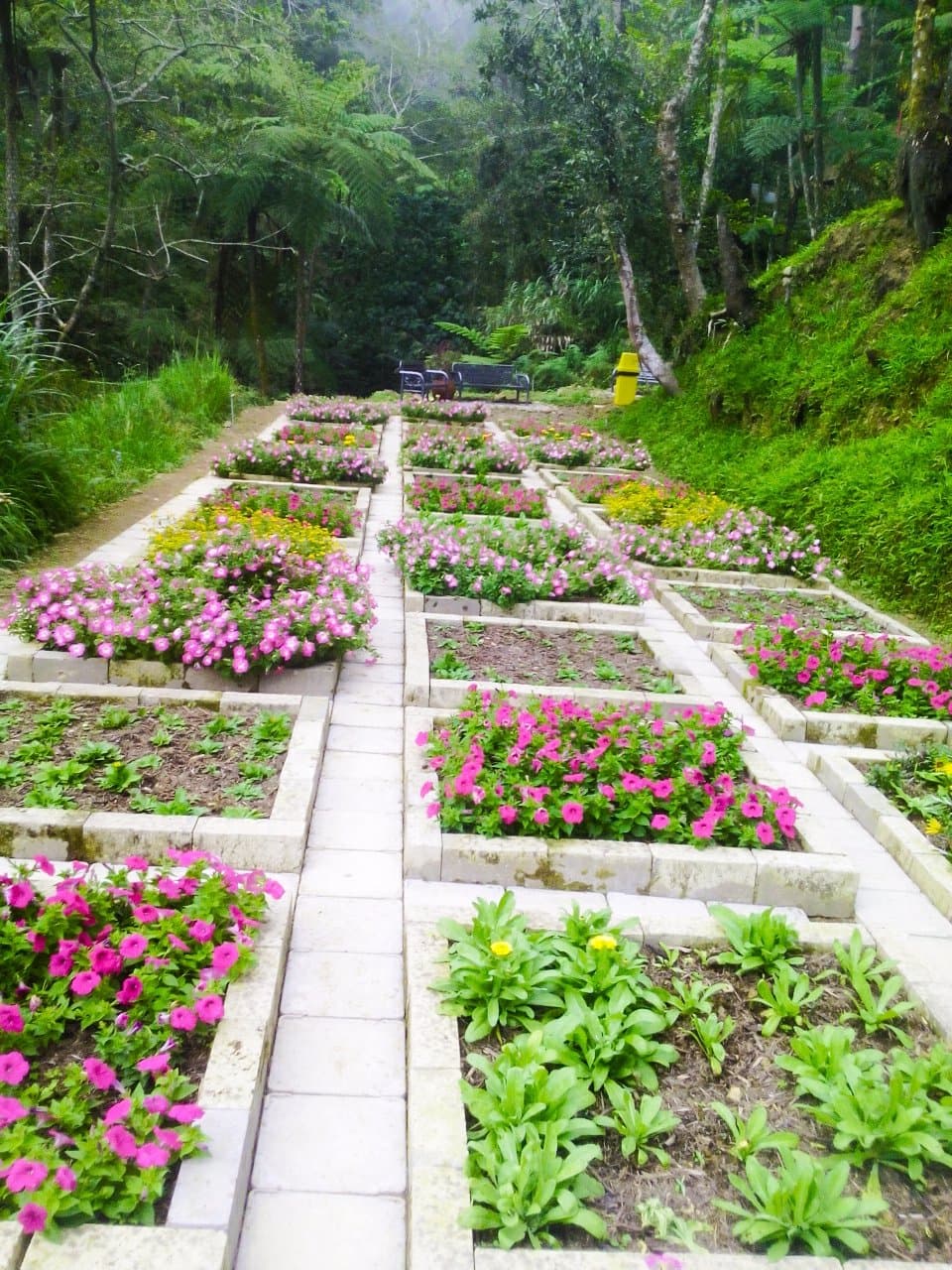 grid garden