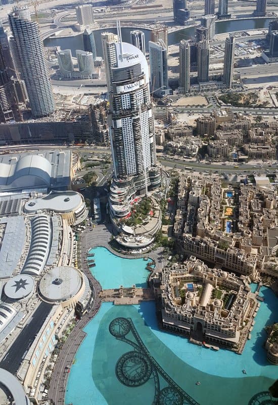 the view