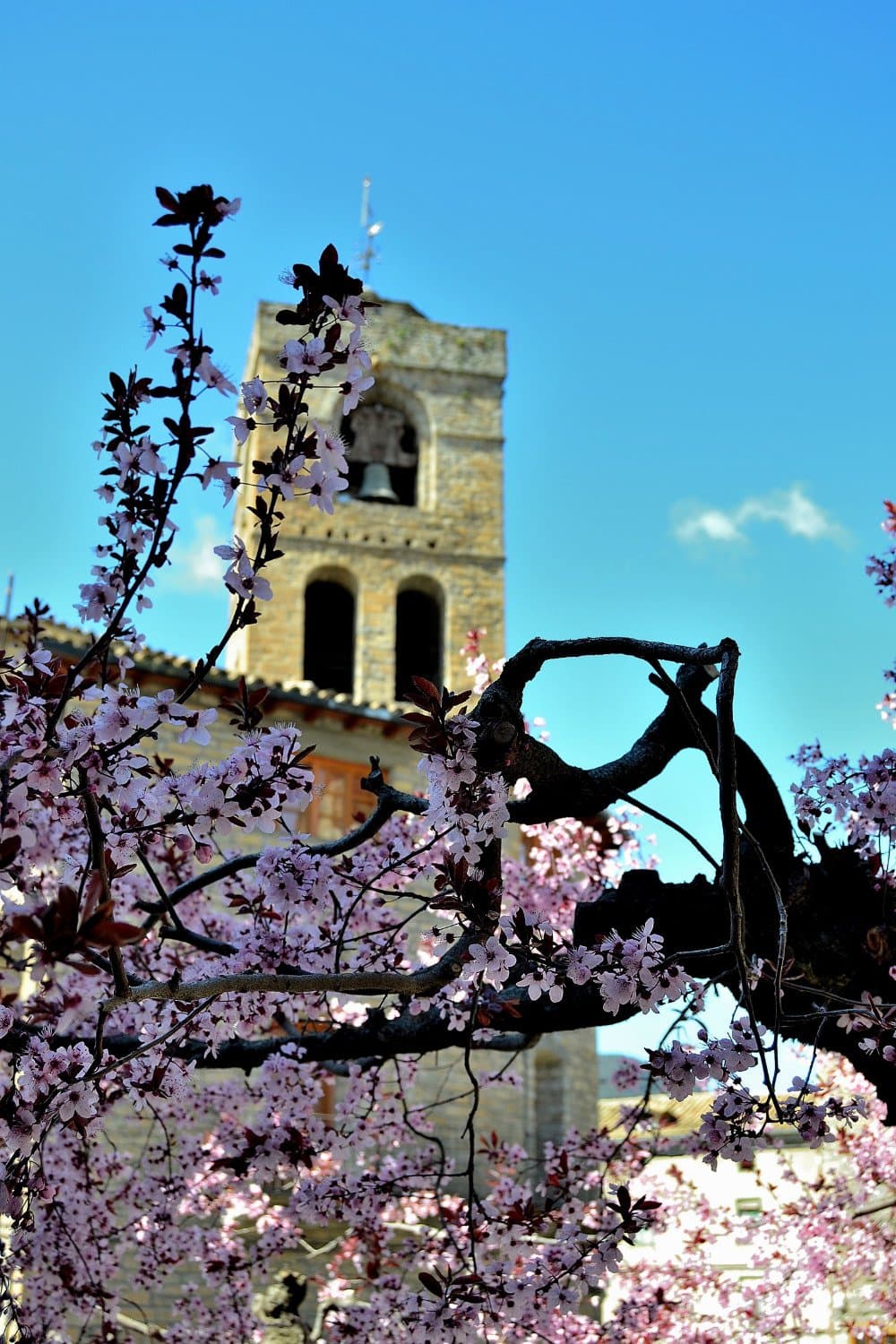 torre
